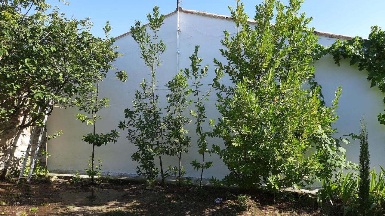 Casa Junto Al Parque Natural De Las Bardenas Sádaba 外观 照片